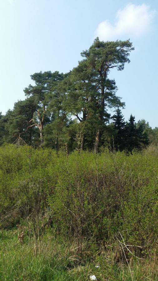 Luett Verbliev Malchow  Exterior foto